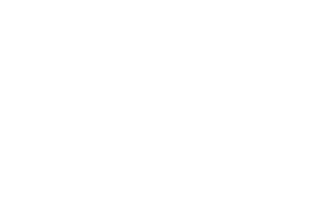 noun performance 8038024